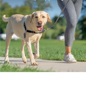 EZ walk harness!